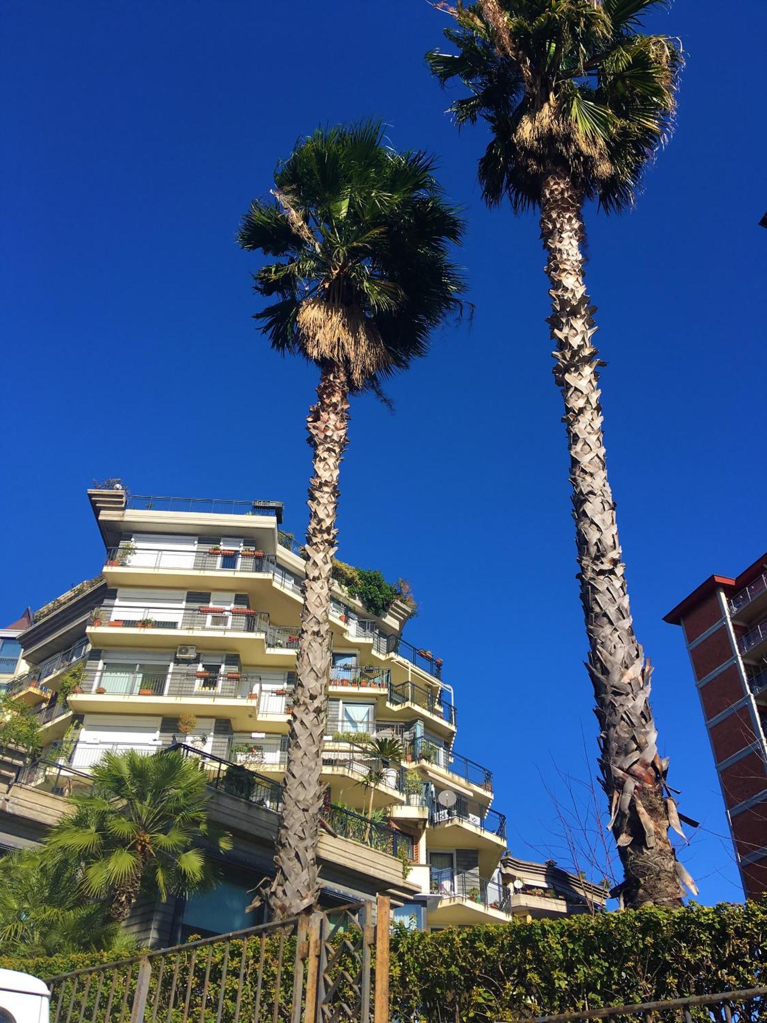 Seafront In The City Ξενοδοχείο Κατάνια Εξωτερικό φωτογραφία